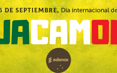 Día del Guacamole un Homenaje a la Tradición Mexicana