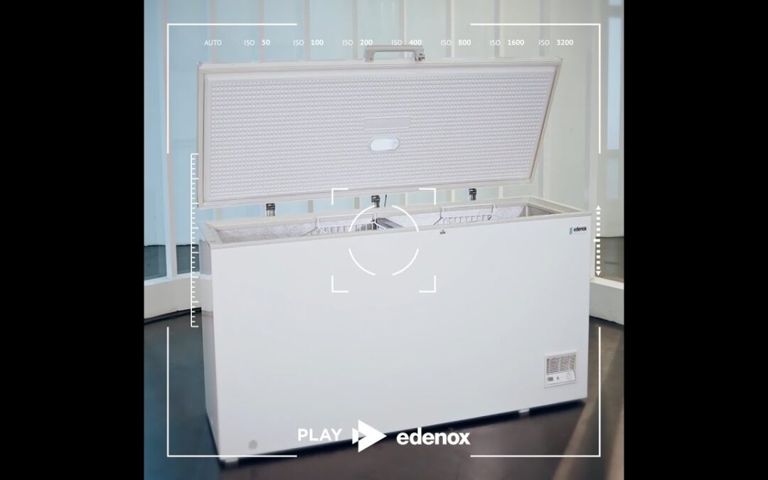 ¿Por qué elegir los congeladores de grandes dimensiones edenox?