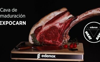 Elegancia y Funcionalidad: descubre las cavas de maduración de carne edenox